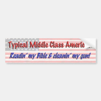 Politics Bumper Sticker