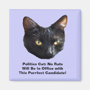 Politics Cat No Rats Will Be In Office Sq Magnet