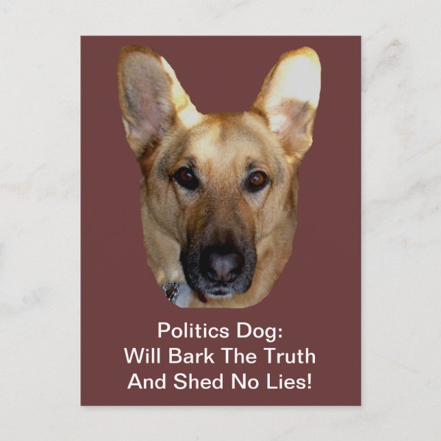 Politics German Shepherd Dog Will Bark The Truth Postcard (Front)