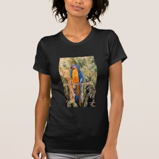 "Polk Parrots" Ladies Petite T-shirt