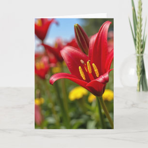 Polka Dot Crimson Bloom Art Card