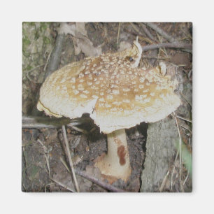 Polka Dot Mushroom Magnet