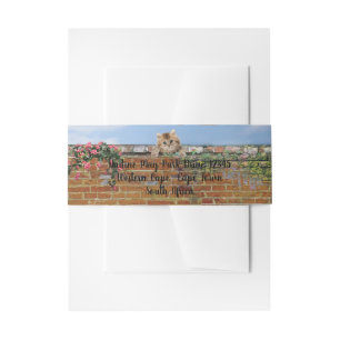 Polka-dot Street Art Scene Invitation Belly Band