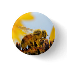 Pollen-Coated Honey Bee on a Sunflower Button