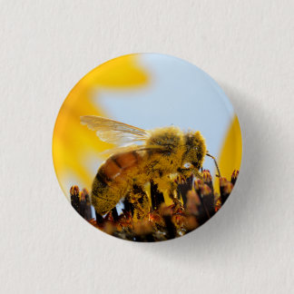 Pollen-Coated Honey Bee on a Sunflower Button