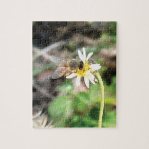 Pollinating Honey Bee on Wild Daisy Flower Photo Jigsaw Puzzle