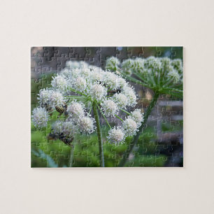 Pollinators on White Angelica Flowers Jigsaw Puzzle