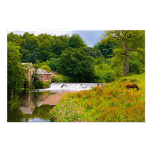 Pollok Park, Glasgow Photo print