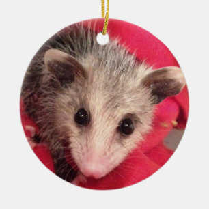 Polly Cute Baby Possum Ceramic Ornament