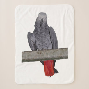 Polly Sherpa Blanket (choose colour)