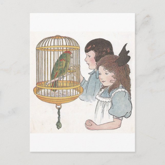 Polly the Parrot Postcard (Front)