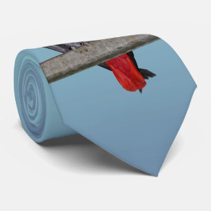 Polly Tie Double Sided Colour (Sky Blue Mix)