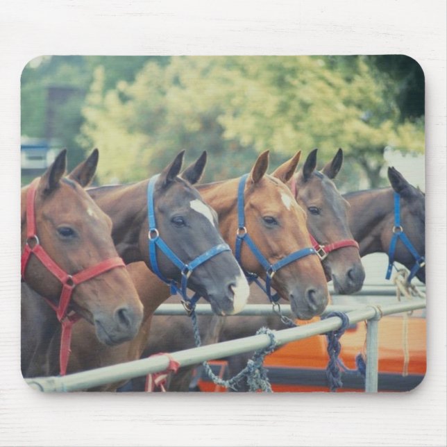 Polo Pony String Mouse Pad (Front)