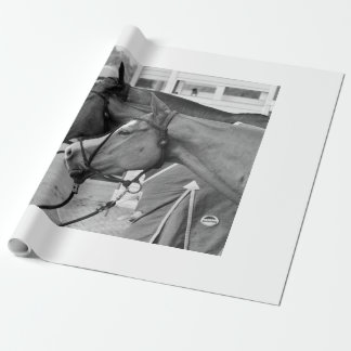 Polo pony wrapping paper