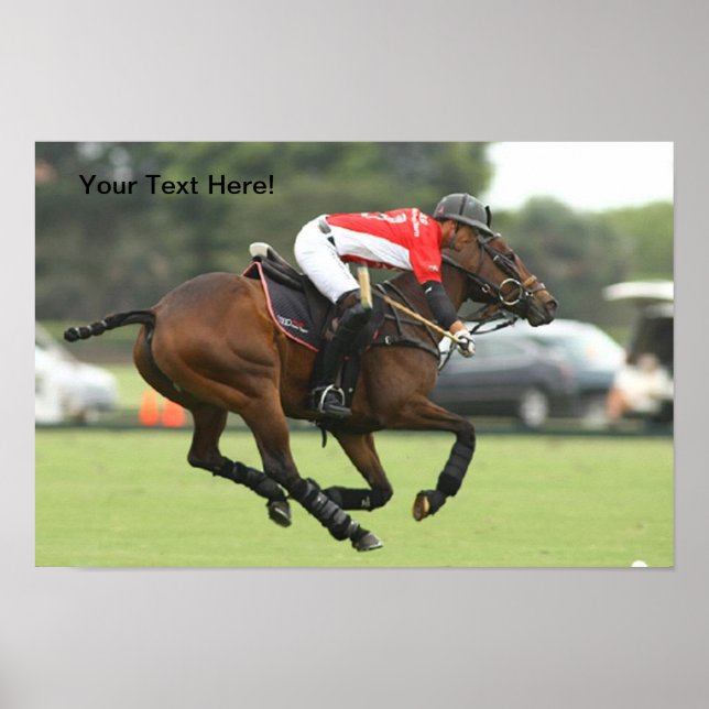 Polo Template Poster (Front)