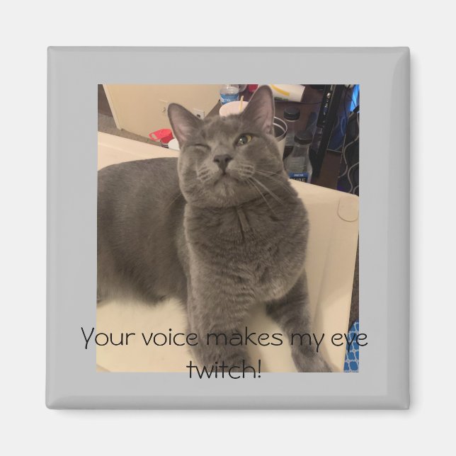 Polo the cat  "Your voice makes my eye twitch! Magnet (Front)