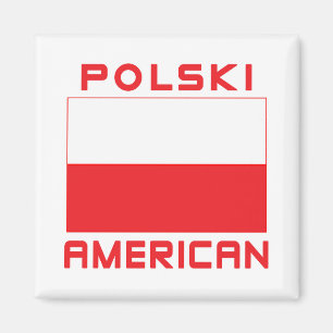 Polski American Flag Magnet