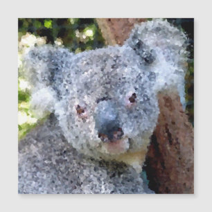 Poly Animals - Koala