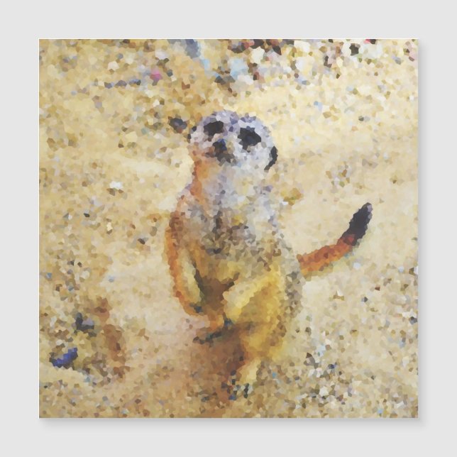 Poly Animals - Meerkat (Front)