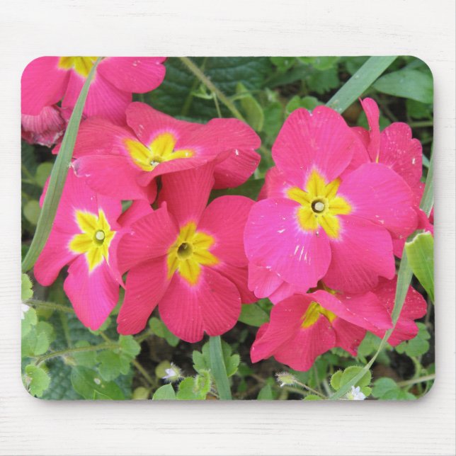 Polyanthus Mousepad (Front)