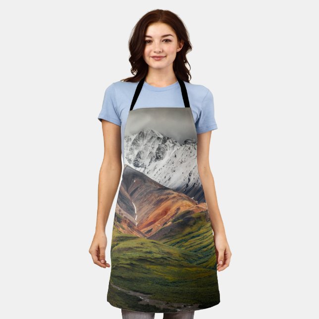 Polychrome mountain, Denali NP, Alaska Apron (Worn)