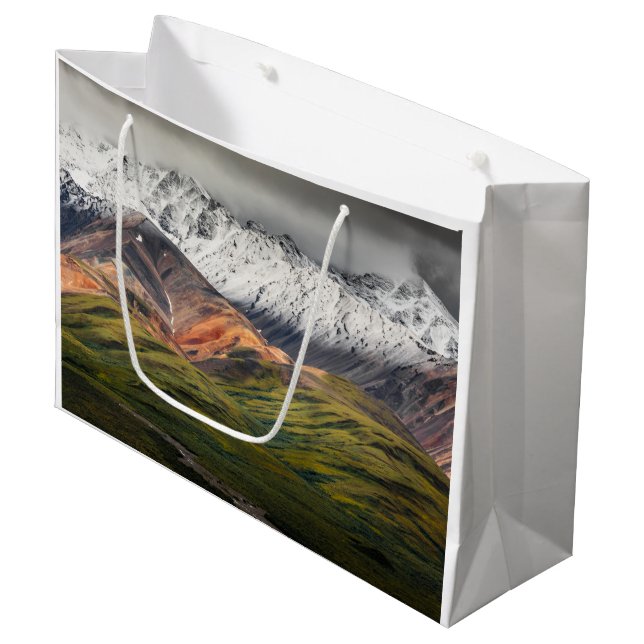 Polychrome mountain, Denali NP, Alaska Large Gift Bag (Front Angled)