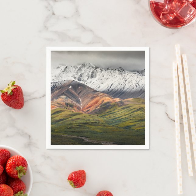 Polychrome mountain, Denali NP, Alaska Napkin (Insitu)