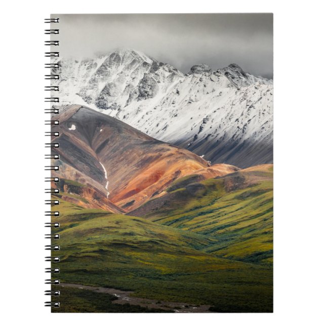 Polychrome mountain, Denali NP, Alaska Notebook (Front)