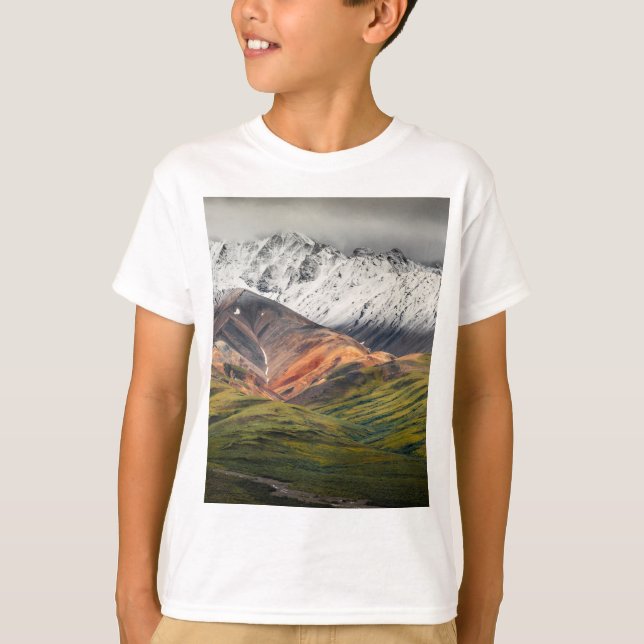 Polychrome mountain, Denali NP, Alaska T-Shirt (Front)