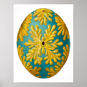 Polyclinum constellatum Ernst Haeckel Fine Art Poster