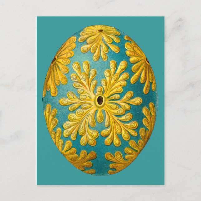 Polyclinum constellatum, Ernst Haeckel Vintage Postcard (Front)