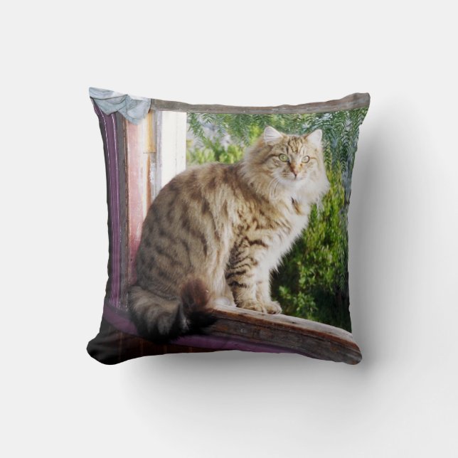Polyester Cushion 16" x 16" - Shirl in Window (Front)