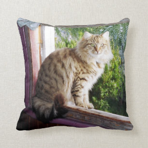 Polyester Cushion 16" x 16" - Shirl in Window