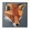 Polygon Fox Custom