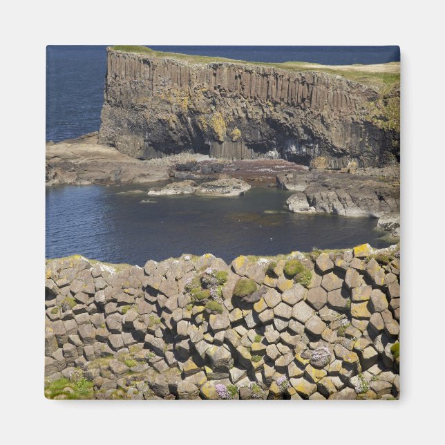 Polygonal basalt, Staffa, off Isle of Mull, Magnet (Front)