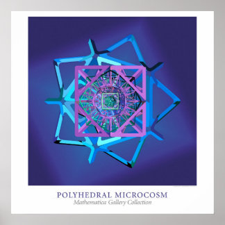 Polyhedral Microcosm Poster