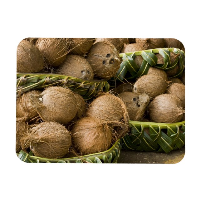 Polynesia, Kingdom of Tonga. Display of coconuts Magnet (Horizontal)