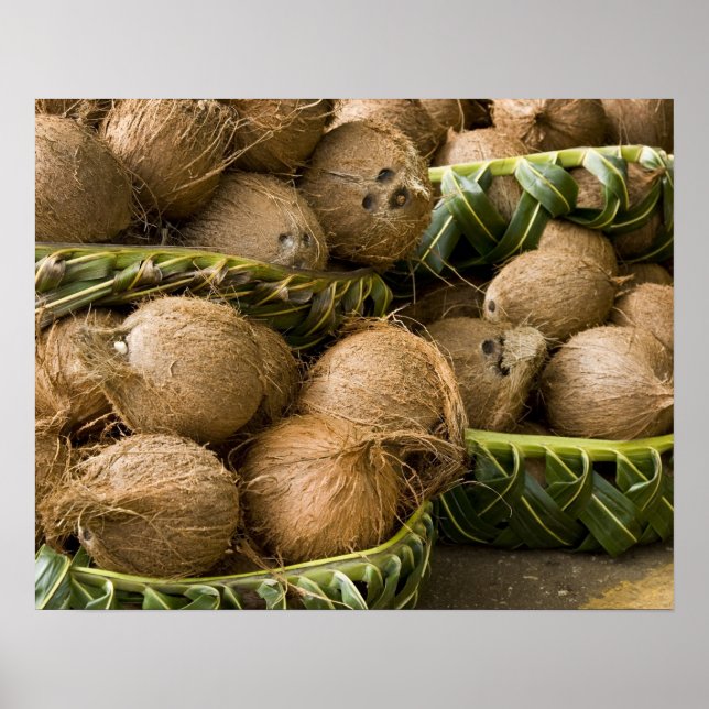 Polynesia, Kingdom of Tonga. Display of coconuts Poster (Front)