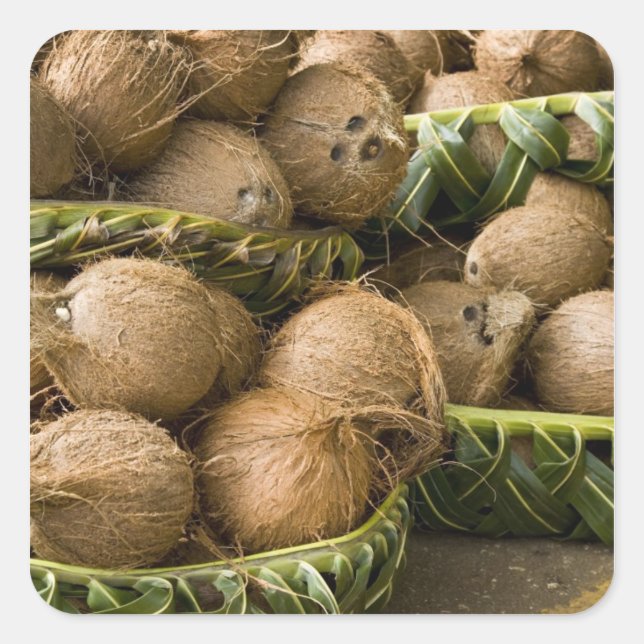 Polynesia, Kingdom of Tonga. Display of coconuts Square Sticker (Front)