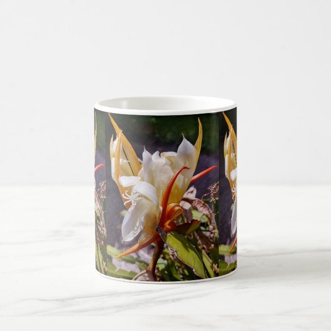 POLYNESIAN DRAGON CACTUS NIGHT BLOOM  COFFEE MUG (Center)