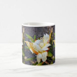 POLYNESIAN DRAGON CACTUS NIGHT BLOOM COFFEE MUG