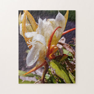 POLYNISIAN DRAGON CACTUS NIGHT BLOOM  JIGSAW PUZZLE