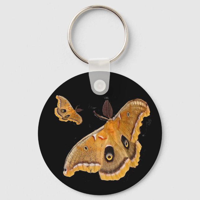 Polyphemus Moth Key Ring (Front)