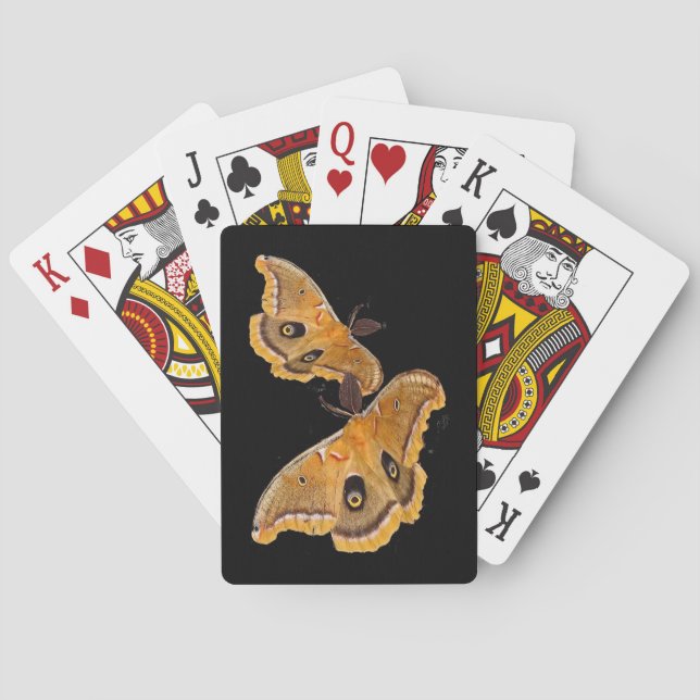 Polyphemus Moth Playing Cards (Back)