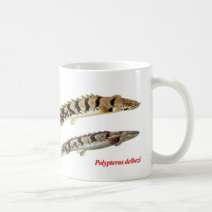 Polypterus delhezi mug