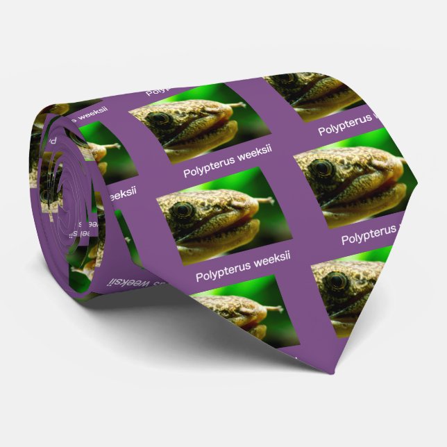 Polypterus weeksii tie (Rolled)