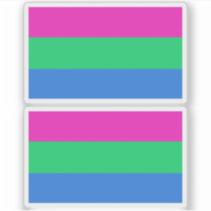Polysexual Pride Flag