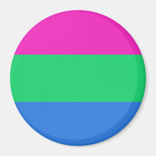 Polysexual Pride Flag Magnet