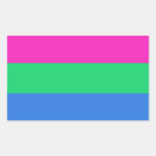 Polysexual Pride Flag Rectangular Sticker