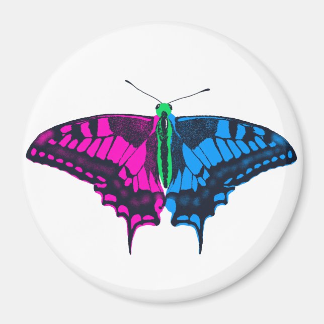 Polysexual Pride Flag Swallowtail Butterfly Magnet (Front)